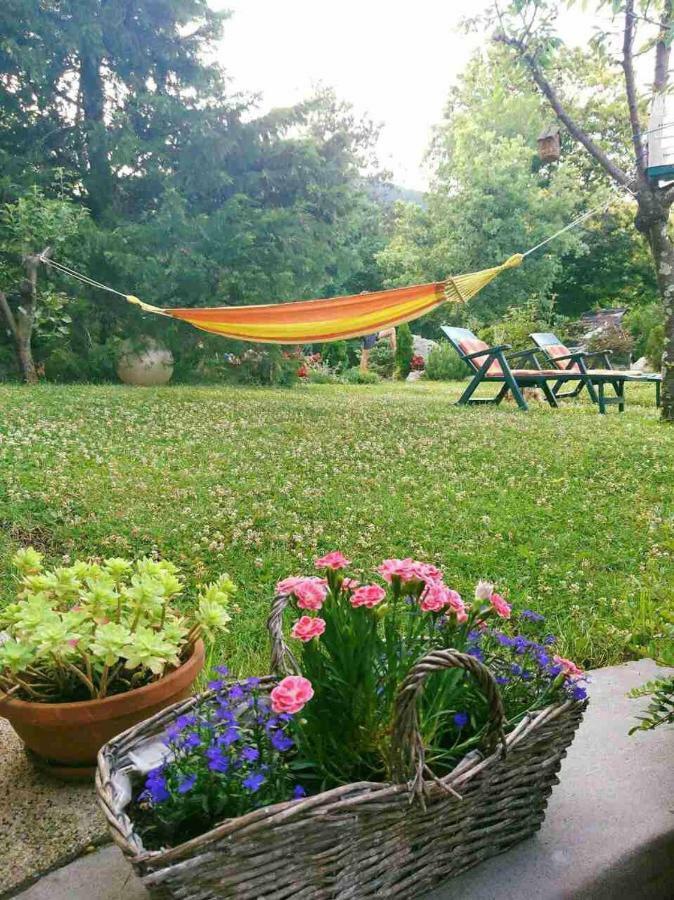 Apartman Ruza 3 Poljane Екстериор снимка