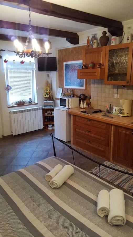 Apartman Ruza 3 Poljane Екстериор снимка